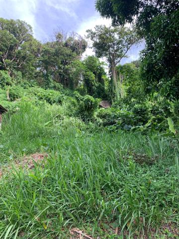 🌿 À VENDRE — Terrain constructible à Saint-Claude

Vous recherchez un terrain pour concrétiser votre projet de construction à Saint-Claude ?

Découvrez ce terrain en pente offrant un beau potentiel, notamment grâce à un terrassement déjà réalisé prêt à accueillir une construction.

🏡 Ses atouts :

* Terrain constructible, idéal pour un projet de maison individuelle.
* Plateforme déjà aménagée, permettant d’envisager plus facilement le démarrage d’un projet de construction.
* Deux accès distincts : une rue desservant la partie haute du terrain et une route d’accès pour la partie basse.
* Une configuration intéressante pour un projet familial, un investissement ou une construction avec possibilité d’aménagement de deux espaces indépendants.

Parcelle classé en zone Uc, PPRN : zone soumise à projet d'aménagement

📞 Pour plus d’informations, obtenir les caractéristiques du terrain ou organiser une visite, n’hésitez pas à me contacter.