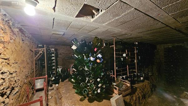 Maison à vendre à Moëlan-sur-Mer dans le Finistère (29350), ref : 29166/56