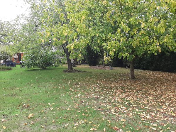 Maison à vendre à Beaulieu sous Bressuire - 6 pièces, 3 chambres