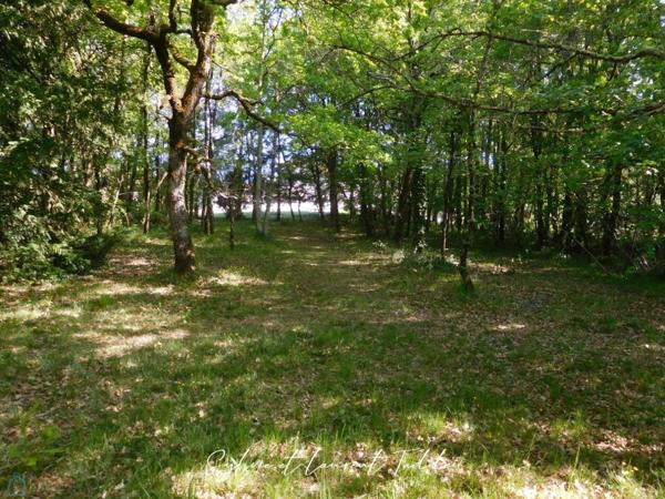 Grande maison familiale