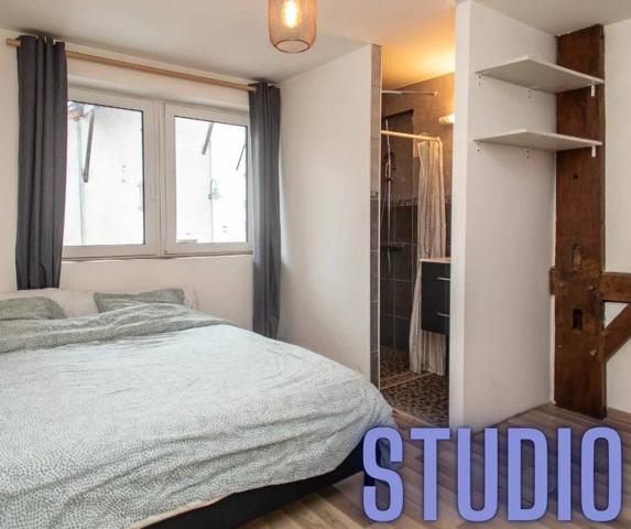 Charmante maison de village à Cervens - 120 m² + studio indépendant