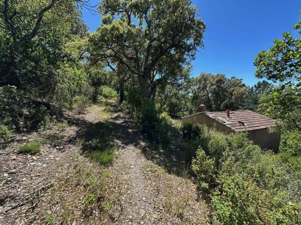 Vente / Cabanon à Pignans (83790)