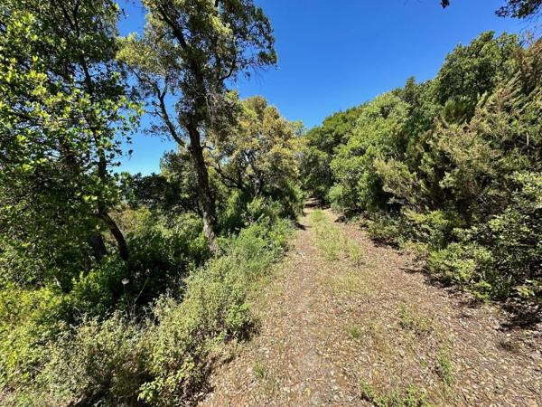 Vente / Terrain de loisirs à Pignans (83790)