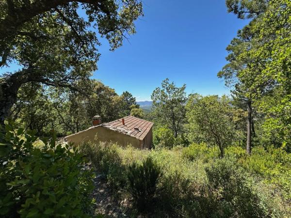 Vente / Cabanon à Pignans (83790)