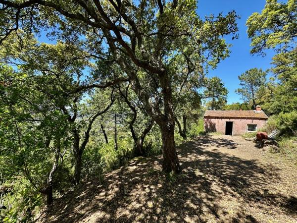 Vente / Cabanon à Pignans (83790)