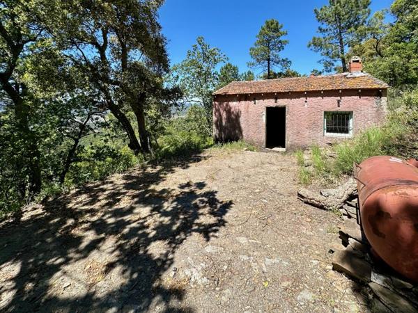 Vente / Cabanon à Pignans (83790)
