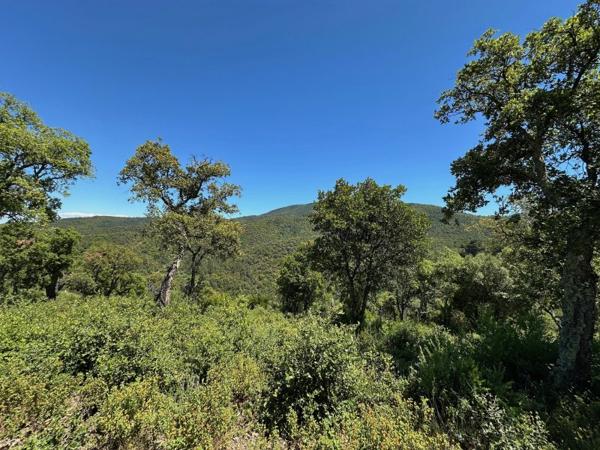 Vente / Cabanon à Pignans (83790)