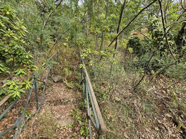 Vente / Terrain de loisirs à Pignans (83790)