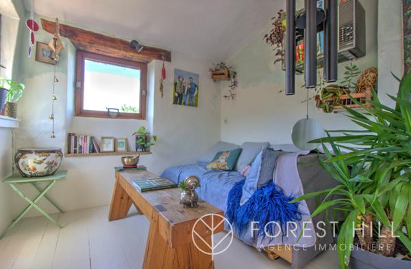 Céret (66400) Grande demeure de caractère au cœur de Céret