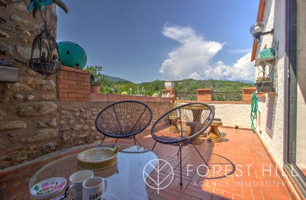 Céret (66400) Grande demeure de caractère au cœur de Céret