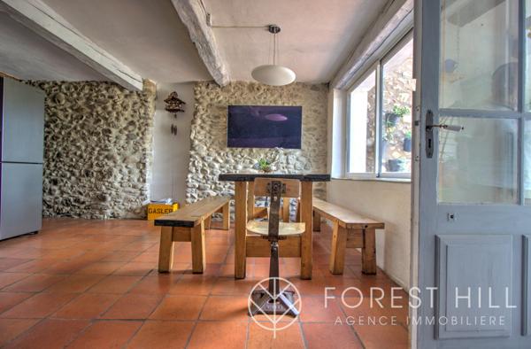 Céret (66400) Grande demeure de caractère au cœur de Céret