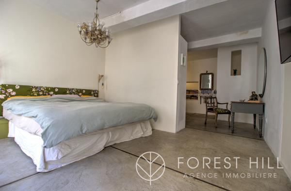 Céret (66400) Grande demeure de caractère au cœur de Céret