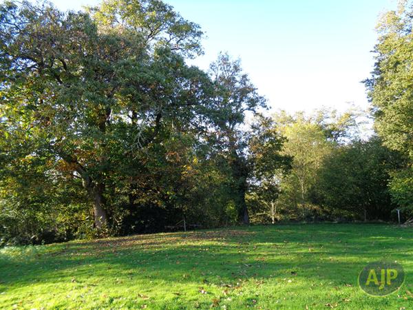 Vente maison Plumelec : 86 960 € - AJP Immobilier Plumelec