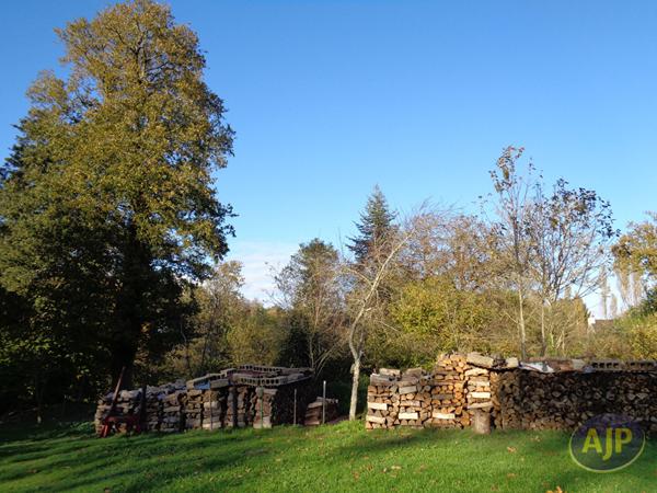 Vente maison Plumelec : 86 960 € - AJP Immobilier Plumelec