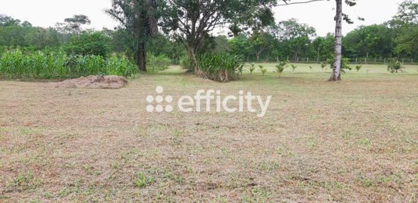 Terrain - 12836 m² Exclusivité efficity