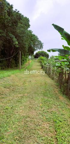 Terrain - 12836 m² Exclusivité efficity