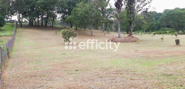 Terrain - 12836 m² Exclusivité efficity