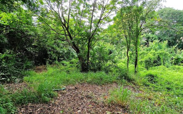 Terrain à vendre    Le Marin