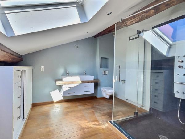 Maison de charme de plus de 320 m2 - 5 chambres, piscine et commodités