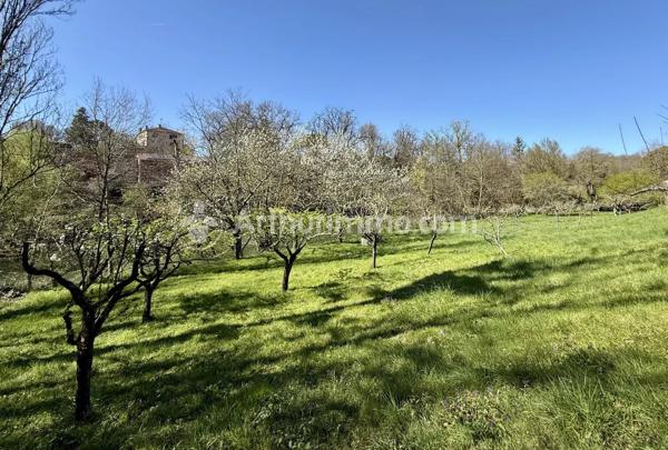 Vente                                                      Maison
                        
                     4 pièces                      95 m2                     à Briatexte