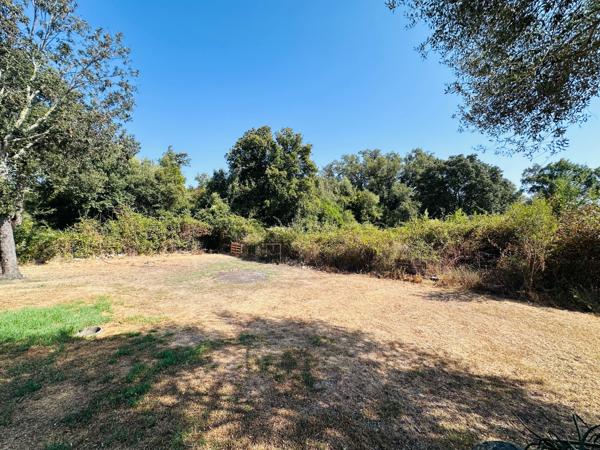 CALME – PISCINE – GRANDS ESPACES – 3 CHAMBRES – TERRAIN