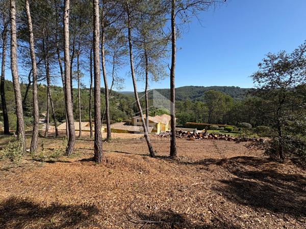 Terrain Taradeau 2030 m2