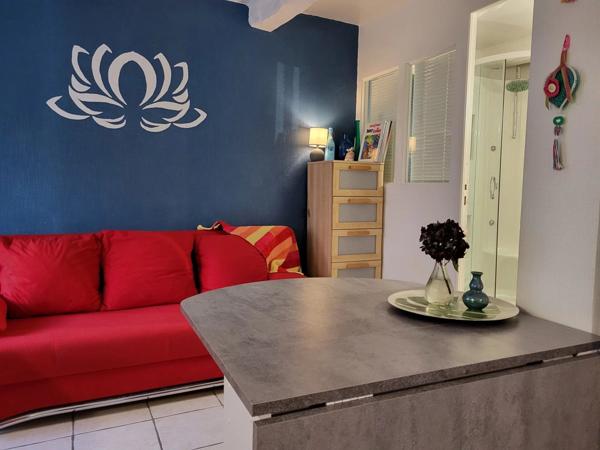 Vente Maison 10 pièces 280 m2 à La Grée-Saint-Laurent