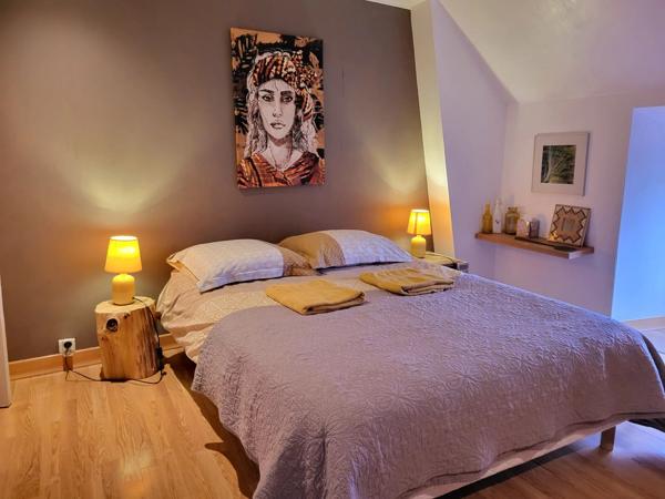 Vente Maison 10 pièces 280 m2 à La Grée-Saint-Laurent