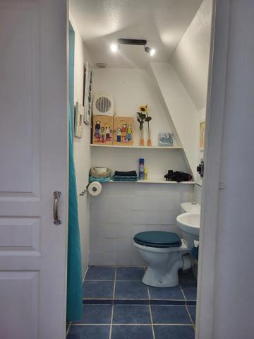 Vente Maison 10 pièces 280 m2 à La Grée-Saint-Laurent