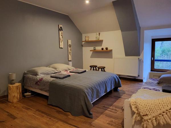 Vente Maison 10 pièces 280 m2 à La Grée-Saint-Laurent