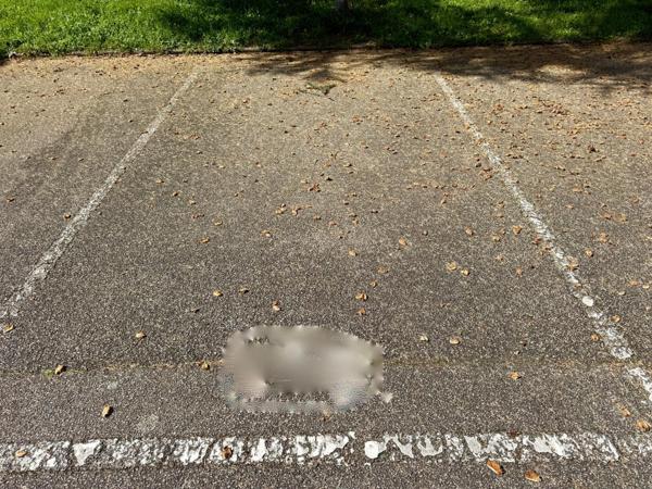 Remise en beauté en attente ! Avis aux investisseurs ou premier achat pour résidence principale !