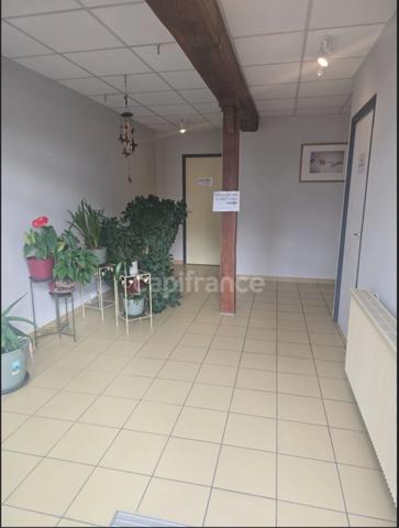 Immeuble à vendre PIERRE DE BRESSE (71)