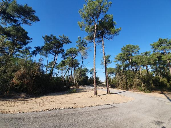 Terrain à bâtir