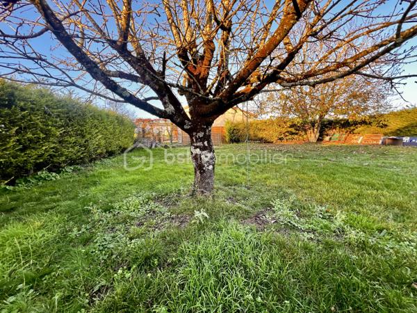 Située dans un environnement paisible et recherché, cette jolie maison avec jardin est baignée de lumière et offre un cadre de vie idéal pour une famille ou un projet d’investissement locatif (colocation, location classique, etc.). Proche des commerces et des écoles. 

Elle s’ouvre sur une entrée donnant sur un séjour spacieux, ainsi qu’une cuisine équipée ouverte créant un espace de vie convivial et lumineux. 
Vous profiterez également d’un salon avec cheminée avec insert pour des soirées d’hiver confortables et chaleureuses. 

Depuis le séjour, vous accédez à une terrasse parfaite pour profiter du coucher du soleil.

La partie nuit se compose d’un couloir desservant:
   - 3 chambres avec placards (10,5m2, 11m2 et 11,5m2)
- une salle d’eau, 
- une salle de bain avec bain à remous pour les moments de détente et une douche supplémentaire 
- un WC indépendant.

Un atout majeur : son grand sous-sol, offrant de multiples possibilités
• Stationnement pour deux véhicules ( fosse pour les amateurs de mécanique) 
• Espace buanderie
• Grande zone de stockage
• Espaces modulables : atelier, salle de sport, pièce hobby…

Un garage indépendant supplémentaire permet le stationnement d’un véhicule additionnel ou du stockage complémentaire.

À l’extérieur, vous profiterez d’un jardin arboré, agréable et entièrement clôturé, idéal pour laisser les enfants jouer en toute sécurité. Il comprend également une piscine hors-sol avec système de filtration à sable, ainsi que des arbres fruitiers pour une ambiance douce et naturelle.

Pour votre confort, la maison est équipée d’une pompe à chaleur, de fenêtres PVC double vitrage et d’un système d’alarme.

Un bien rare à Villedieu-du-Clain, alliant confort, calme, volumes et potentiel. 

Pour organiser rapidement une visite ou obtenir des photos supplémentaires, contactez-nous du lundi au samedi de 8h à 20h.