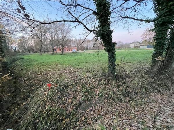 Terrain à vendre |  Labastide-du-Temple |  1186 m²