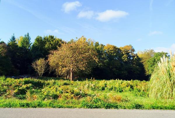 Terrain à bâtir de 740m2 à Chauvigné