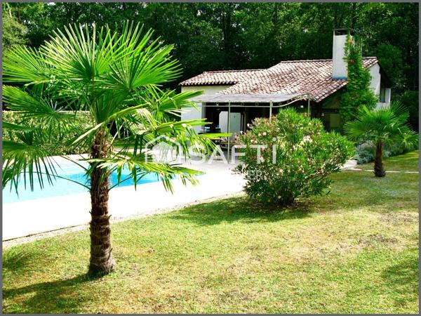 Maison d'architecte, grand séjour, 6 chambres + bureau, 2 sdb, garage, piscine chauffée et pool house.