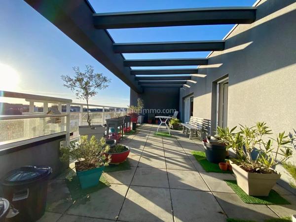 Vente Appartement 3 pièces 81 m2 à Plescop