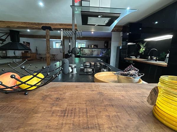 À vendre : superbe domaine rénové au coeur du village ! Porche de Carcassonne