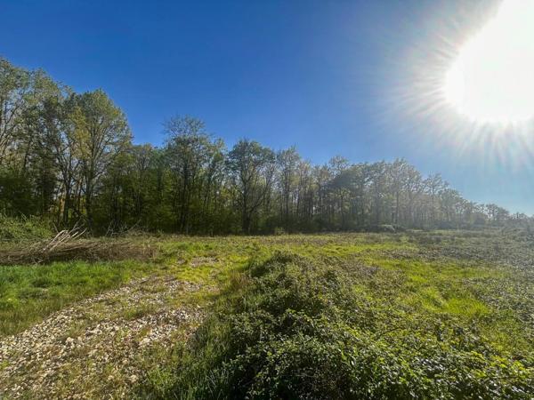 Terrain Villefranche Sur Cher 6804 m2