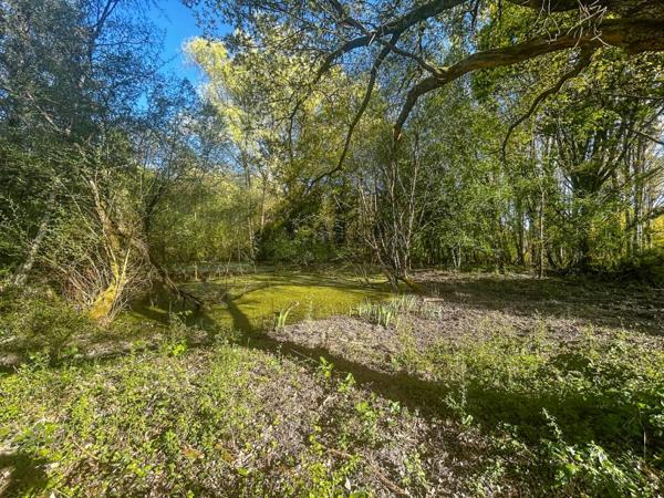 Terrain Villefranche Sur Cher 6804 m2