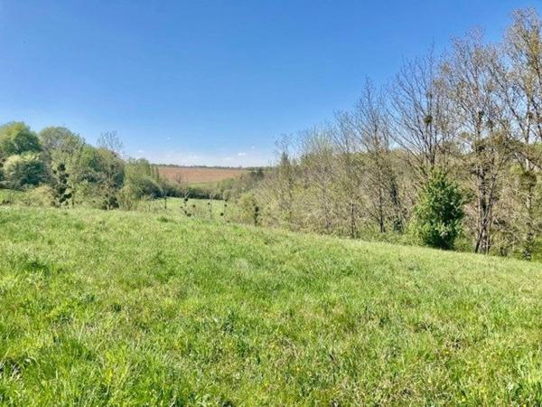 ENSEMBLE  IMMOBILIER A RENOVER SUR 23492 M2