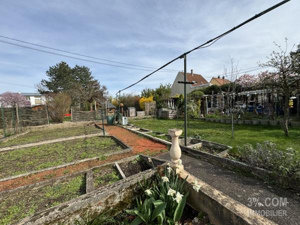 3%COM Jolie maison avec jardin à BRUMATH  Brumath (67170)