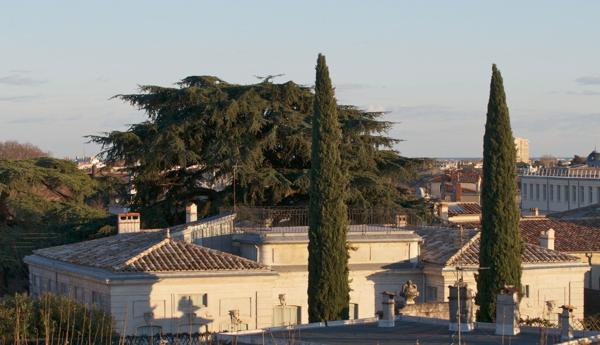 Vente Maison de luxe Montpellier 12 Pièces 600 m²