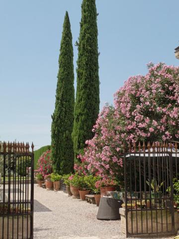 Vente Maison de luxe Montpellier 12 Pièces 600 m²