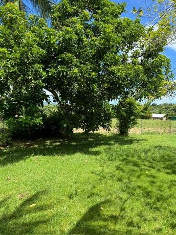 A VENDRE PROCHE JARRY DANS RESIDENCE PRIVEE CALME VILLA T4 AVEC PISCINE SUR 1120 M² DE TERRAIN .