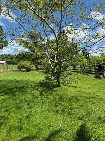 A VENDRE PROCHE JARRY DANS RESIDENCE PRIVEE CALME VILLA T4 AVEC PISCINE SUR 1120 M² DE TERRAIN .