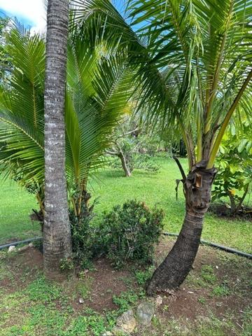 A VENDRE PROCHE JARRY DANS RESIDENCE PRIVEE CALME VILLA T4 AVEC PISCINE SUR 1120 M² DE TERRAIN .