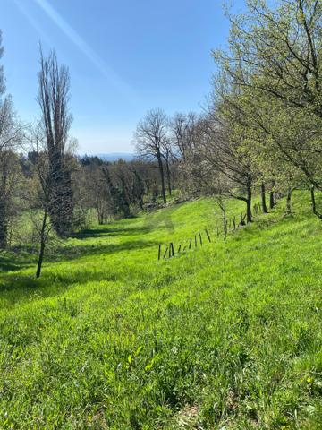 Limonest . Terrain 5.000 m2