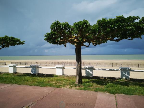 Très joli studio Saint Georges de Didonne centre ville, plage à 40 mètres